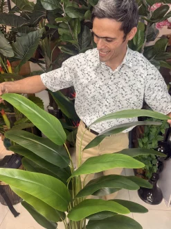 جزئیات برگ ضخیم و باکیفیت گیاه مصنوعی پرنده بهشتی با سیم فلزی