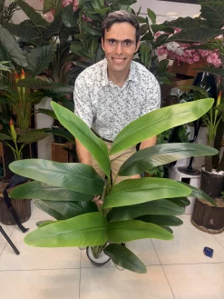 درختچه مصنوعی پرنده بهشتی بزرگ با ۲۰ برگ سبز برای دکوراسیون پذیرایی