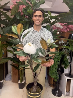 درختچه بونسای مگنولیا مصنوعی لوکس با گل سفید لمسی و تنه طبیعی