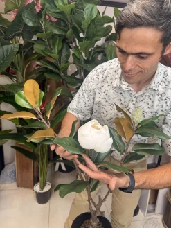 گل مصنوعی مگنولیا لمسی سفید با کیفیت درجه یک پلیمری