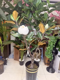 درختچه بونسای مگنولیا مصنوعی لوکس با گل سفید لمسی و تنه طبیعی