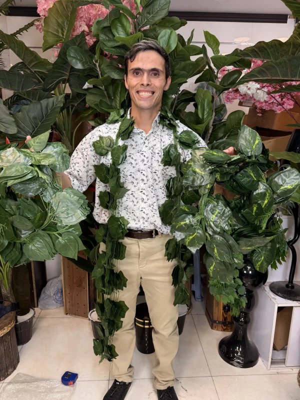 ریسه برگ مصنوعی پوتوس ابلق درجه یک برای دکوراسیون دیوار سبز