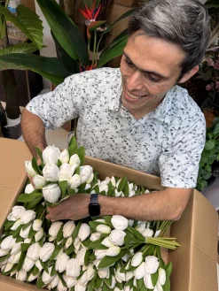 برگ‌های سبز لمسی و مقاوم در برابر UV لاله عروس مصنوعی