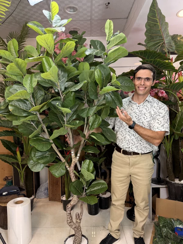 درختچه مصنوعی لیراتا بلند با ارتفاع ۲۱۰ سانتی‌متر و تنه طبیعی برای دکوراسیون پذیرایی.