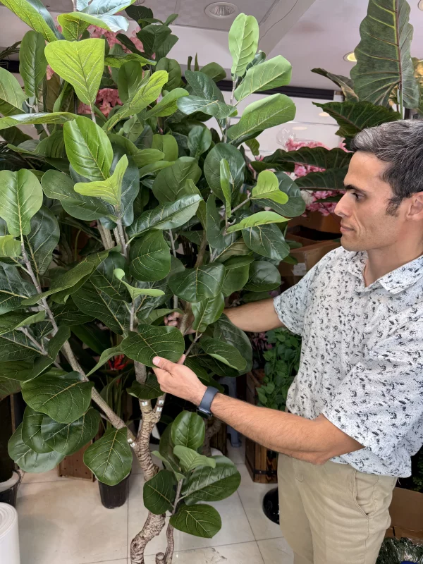 درختچه مصنوعی لیراتا بلند با ارتفاع ۲۱۰ سانتی‌متر و تنه طبیعی برای دکوراسیون پذیرایی.