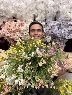 چهار رنگ بوته تزیینی پفکی مینیاتور (صورتی، زرد، سفید، قلبهی) در کنار هم، نمایش تراکم و زیبایی محصول.