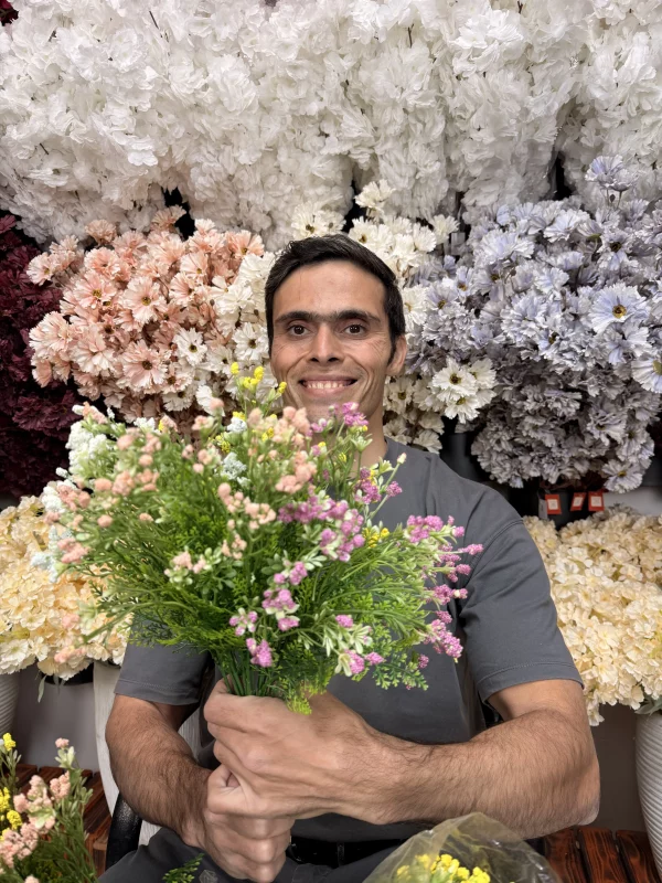 چهار رنگ بوته تزیینی پفکی مینیاتور (صورتی، زرد، سفید، قلبهی) در کنار هم، نمایش تراکم و زیبایی محصول.