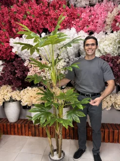 نمای کامل درختچه مصنوعی آرالیا با ارتفاع دو متر و برگ‌های پهن و پرتراکم، ایده‌آل برای دکوراسیون داخلی.