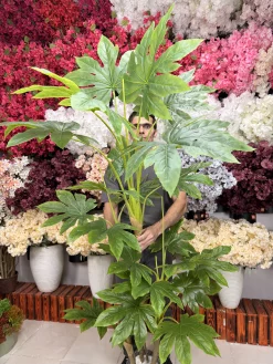 درختچه مصنوعی آرالیا ۲ متری قرار گرفته در گوشه پذیرایی، نشان‌دهنده مقیاس و زیبایی آن در فضای داخلی.