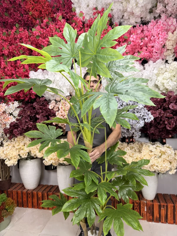 درختچه مصنوعی آرالیا ۲ متری قرار گرفته در گوشه پذیرایی، نشان‌دهنده مقیاس و زیبایی آن در فضای داخلی.