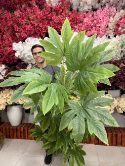 جزئیات تنه محکم شرکتی درختچه آرالیا با ریشه‌های هوایی و پوشش پارچه‌ای خاص که به آن ظاهری طبیعی بخشیده است.