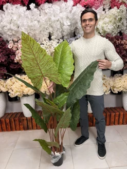 چیدمان درختچه مصنوعی باباآدم لمسی در گوشه اتاق پذیرایی کنار مبلمان مدرن