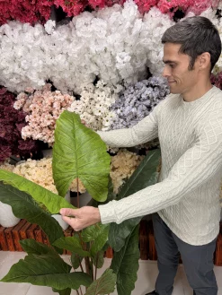 چیدمان درختچه مصنوعی باباآدم لمسی در گوشه اتاق پذیرایی کنار مبلمان مدرن