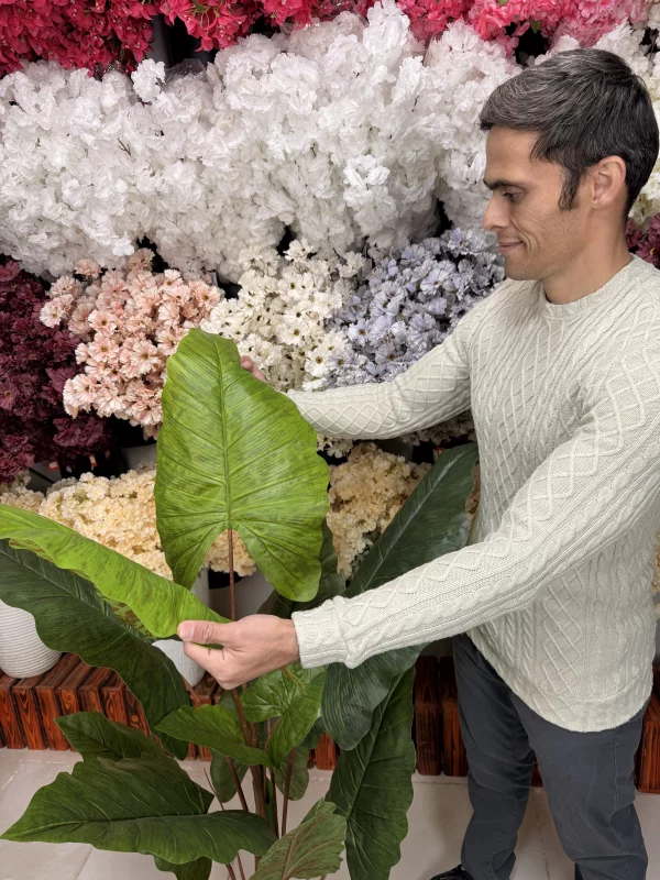 چیدمان درختچه مصنوعی باباآدم لمسی در گوشه اتاق پذیرایی کنار مبلمان مدرن