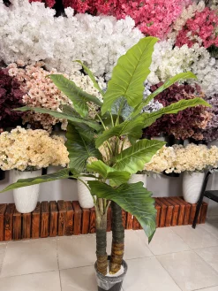 نمای کامل درختچه باباآدم مصنوعی دو تنه با برگ‌های پهن و ارتفاع ۱۵۰ سانتیمتر مناسب دکوراسیون داخلی و خارجی.