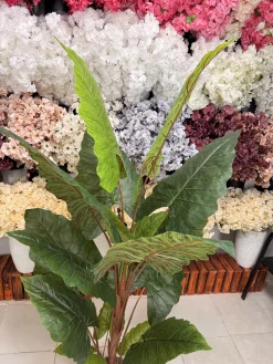 سه تنه قطور و واقع‌گرایانه درختچه مصنوعی باباآدم ۱۸۰ سانتی