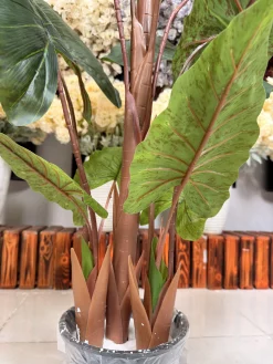 سه تنه قطور و واقع‌گرایانه درختچه مصنوعی باباآدم ۱۸۰ سانتی