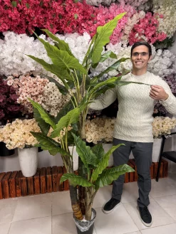 نمای کامل درختچه مصنوعی باباآدم لوکس با ارتفاع ۱۹۰ سانتیمتر و برگ‌های پهن سبز در یک پذیرایی شیک.