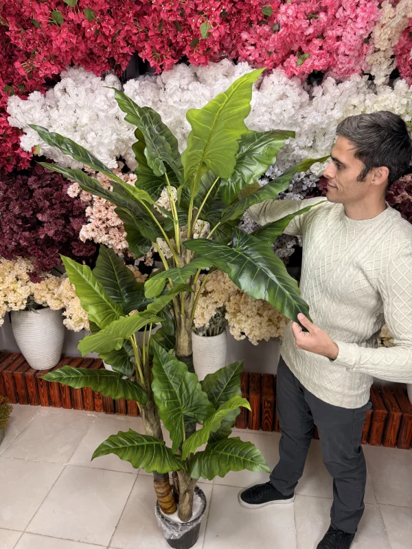 کلوزآپ از برگهای لمسی و باکیفیت درختچه باباآدم مصنوعی با ترکیب رنگ سبز تیره و روشن و نمایش رگبرگهای طبیعی.