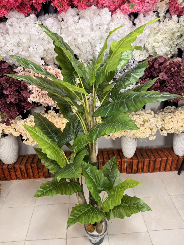 تصویر نزدیک از سه تنه درختچه مصنوعی باباآدم، نمایش جزئیات پوست کار شده روی تنه کوچکتر.