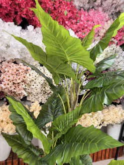 نمای کامل درختچه مصنوعی باباآدم لوکس با ارتفاع ۱۹۰ سانتیمتر و برگ‌های پهن سبز در یک پذیرایی شیک.