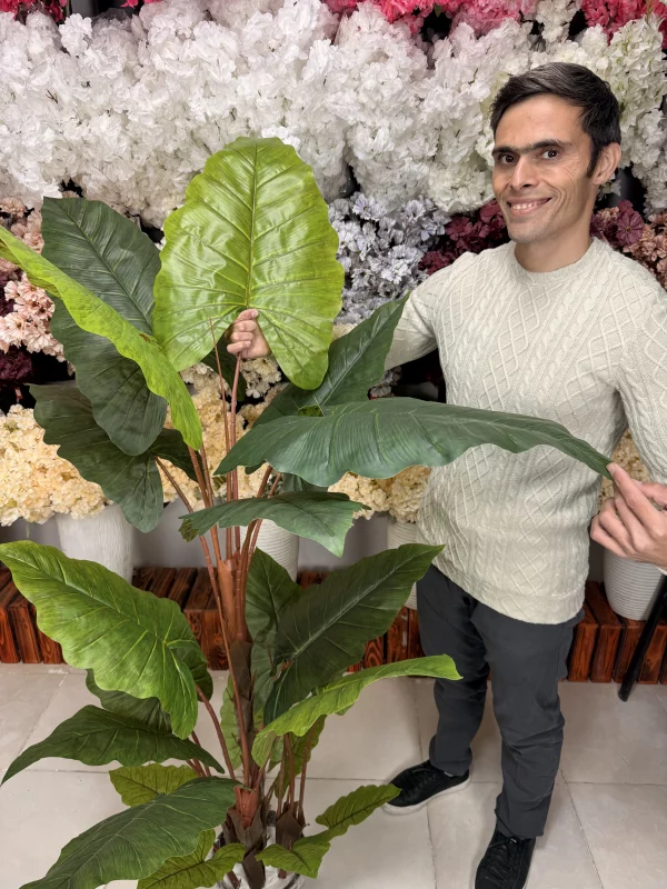 کلوزآپ برگهای لمسی باباآدم مصنوعی با رگبرگهای برجسته و رنگ سبز تیره و روشن