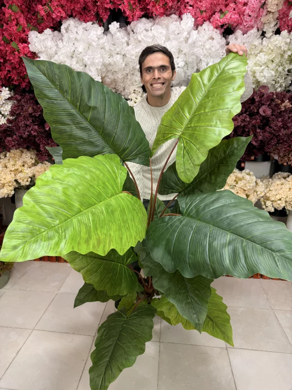 کلوزآپ برگ‌های لمسی باباآدم مصنوعی با رگبرگ‌های برجسته و رنگ سبز تیره و روشن