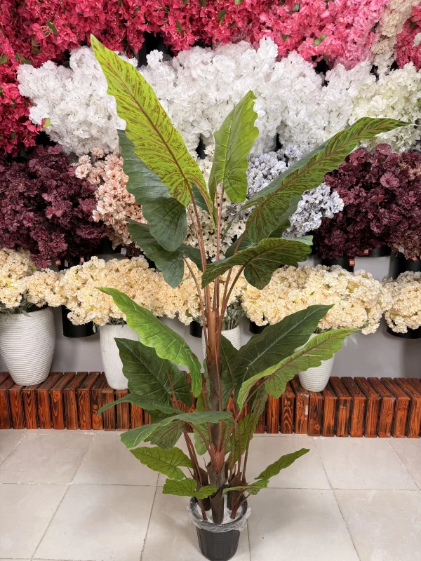 کلوزآپ برگ‌های لمسی باباآدم مصنوعی با رگبرگ‌های برجسته و رنگ سبز تیره و روشن