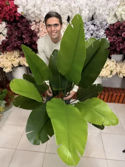 کلوزآپ از برگ‌های سبز تیره و روشن درختچه پرنده بهشتی مصنوعی با نمایش جزئیات پشت برگ.