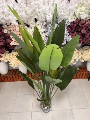 کلوزآپ از برگ‌های سبز تیره و روشن درختچه پرنده بهشتی مصنوعی با نمایش جزئیات پشت برگ.