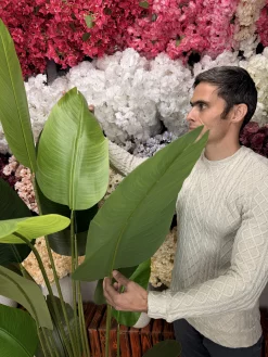 تصویر نزدیک از برگ‌های پلیمری درختچه پرنده بهشتی با رگه‌های طبیعی و رنگ سبز تیره و روشن.