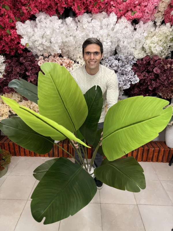 تصویر نزدیک از برگ‌های پلیمری درختچه پرنده بهشتی با رگه‌های طبیعی و رنگ سبز تیره و روشن.