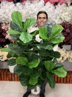 چیدمان گیاه مصنوعی لیراتا ۱۸۰ سانتی در دکوراسیون داخلی مدرن و لوکس