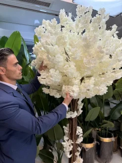 درختچه شکوفه سفید برای دکوراسیون داخلی