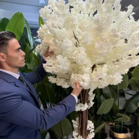 درختچه شکوفه سفید برای دکوراسیون داخلی