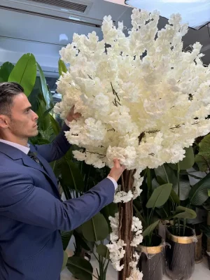 درختچه شکوفه سفید برای دکوراسیون داخلی