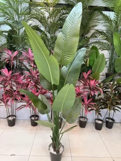 سه تنه خوشفرم با برگهای بزرگ در درختچه مصنوعی پرنده بهشتی ۱۹۵ سانتیمتری