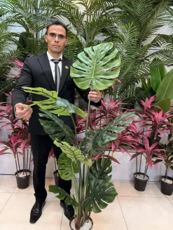 درختچه مصنوعی برگ انجیری مانسترا ۱۰ برگ سه تنه ارتفاع ۱۶۰ سانتی