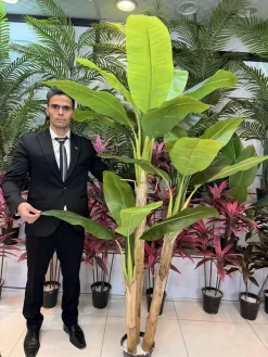 درختچه مصنوعی موز برگ پهن 3 کوپه 200 سانتی
