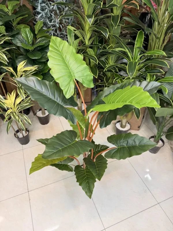 درختچه مصنوعی باباادم الوکازیا ۴ کوپه با یک تنه پوستی و سه تنه کوچک‌تر