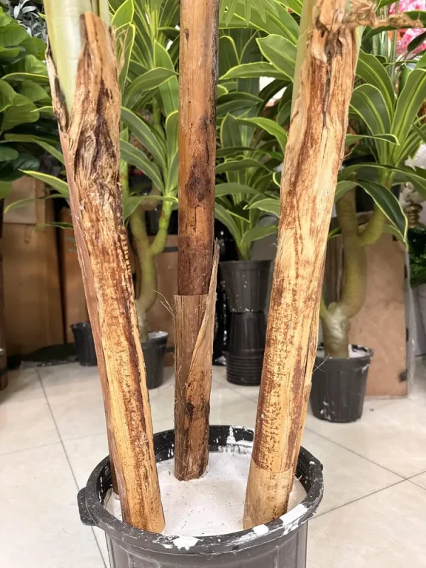 تنه پلاستیکی قطور با روکش پوست خاص درختچه مصنوعی نخل کنتیا ۵ کوپه