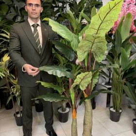 درختچه مصنوعی باباآدم الوکازیا ۲ تنه با ۱۴ برگ و ۲ میوه برای منزل و محل کار