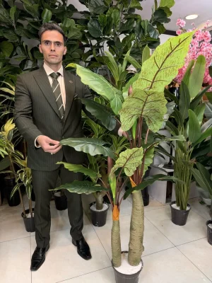 درختچه مصنوعی باباآدم الوکازیا ۲ تنه با ۱۴ برگ و ۲ میوه برای منزل و محل کار