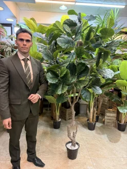 درختچه مصنوعی فیکوس لیراتا برگ پهن ۲۱۰ سانتی با برگ سبز روشن و سبز تیره مناسب دکور داخلی