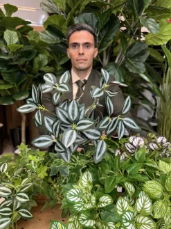 بوته برگ هندوانه ای سبز و بنفش و برگ بیدی سبز و سفید مصنوعی لمسی برای باکس گل