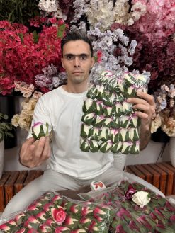 سرگل غنچه مخمل خارجی ۵ سانت (بسته ۳۶ عددی)