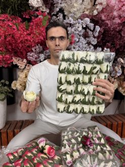 سرگل غنچه مخمل خارجی ۵ سانت (بسته ۳۶ عددی)