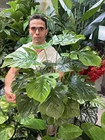 نام بوته دوم