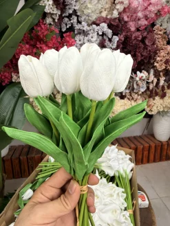 لاله و شیپوری سفید
