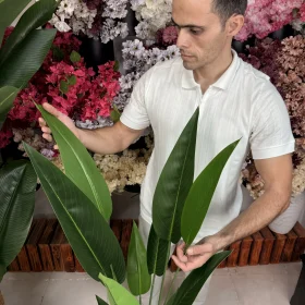 درختچه مصنوعی پرنده بهشتی ۱۳ برگ (ارتفاع ۱.۵ متر)
